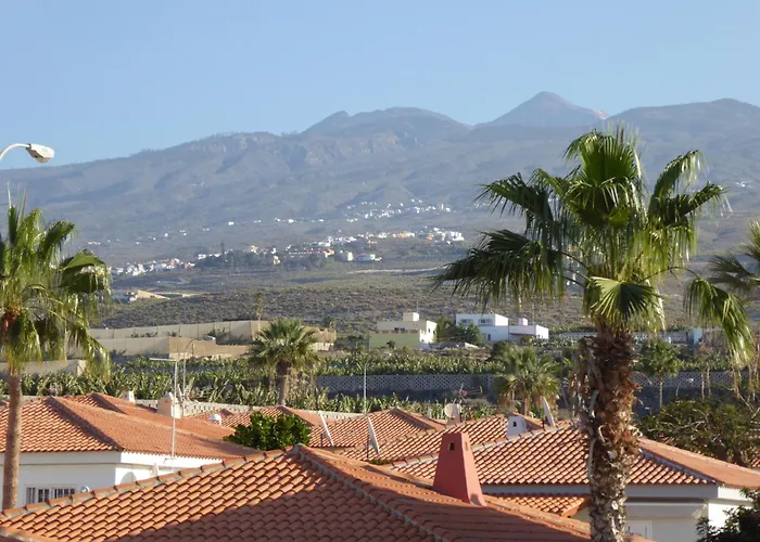 Blue Dream Experience * كالاو سالفاجي